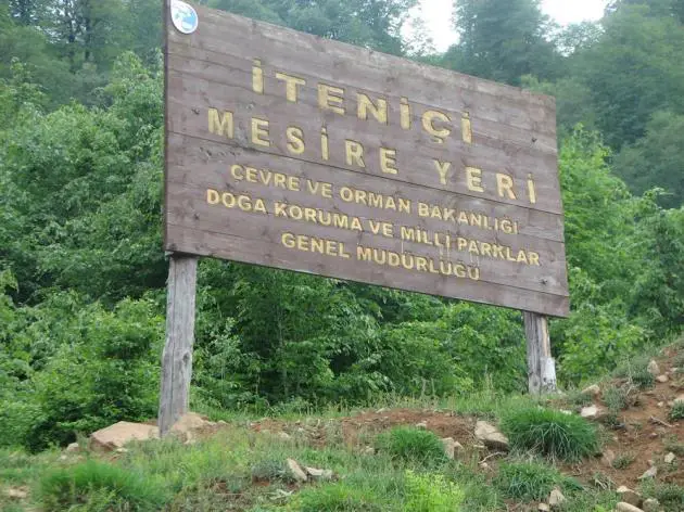 Korgan İteniçi Mesire Yeri, Korgan/Ordu