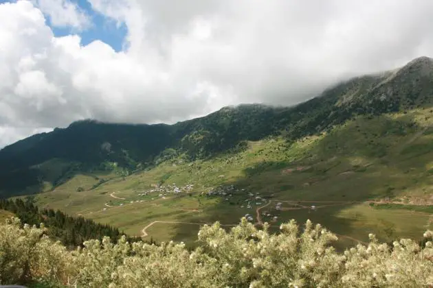 Topçam Yaylası, Mesudiye/Ordu