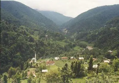 ÇATALPINAR